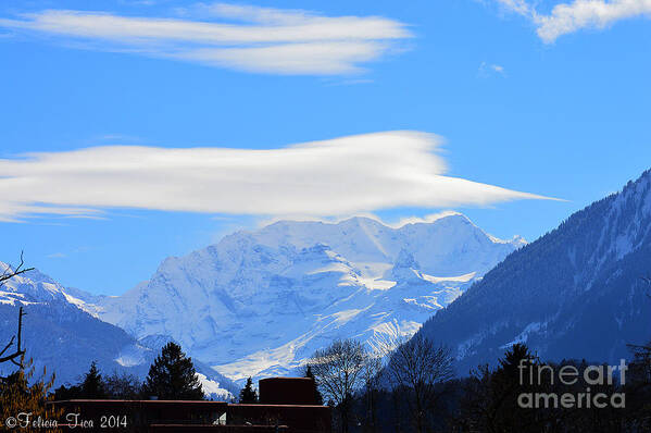 Alps Art Print featuring the photograph Bach Porch View by Felicia Tica
