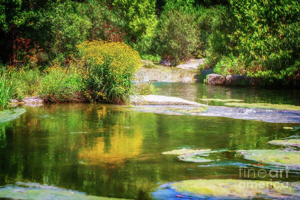 Oklahoma Art Print featuring the photograph Wild Flowers on Blue River by Tamyra Ayles