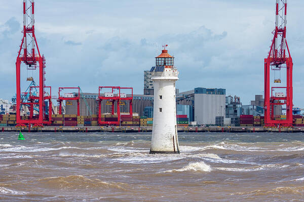 Perch Rock Art Print featuring the photograph Two crane salute by Steev Stamford