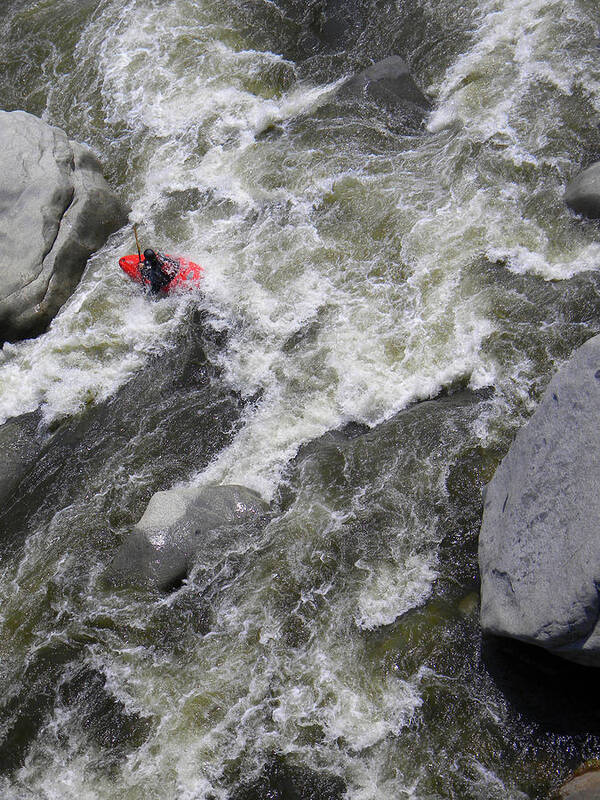 Kayak Art Print featuring the photograph Quick Adjustment by Frank Wilson