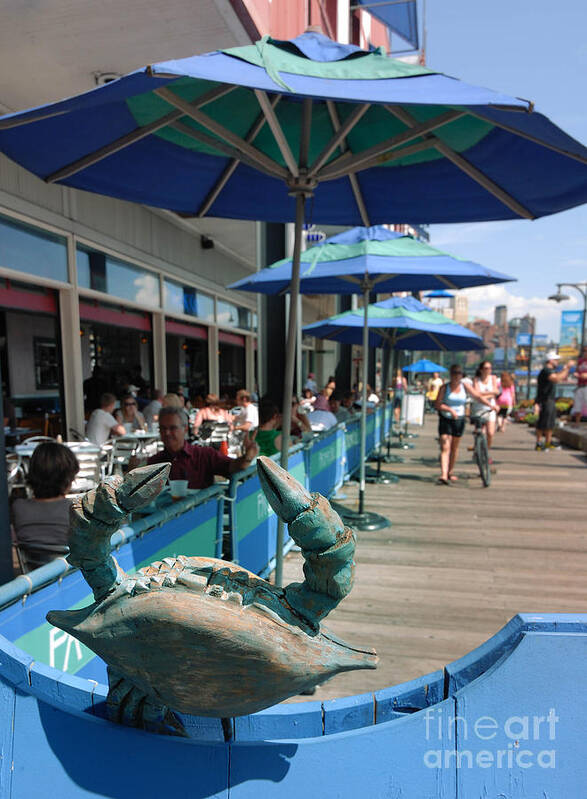 Boardwalk Art Print featuring the photograph South Street Seaport New York Crab by Amy Cicconi