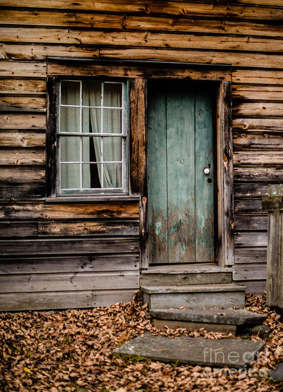 Green Door Art Print featuring the photograph The Door by Pamela Taylor