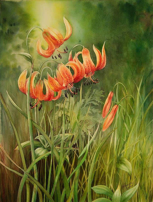 Lilies Art Print featuring the painting Turk's Cap Lilies by Johanna Axelrod