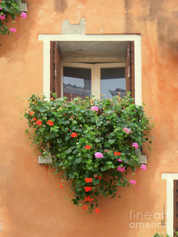 Venice Art Print featuring the mixed media Venice Shutters Flowers Orange Wall by Robyn Saunders