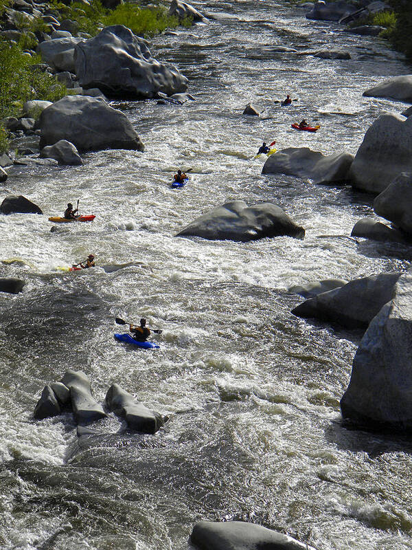 Kayak Art Print featuring the photograph Down The Feather River by Frank Wilson