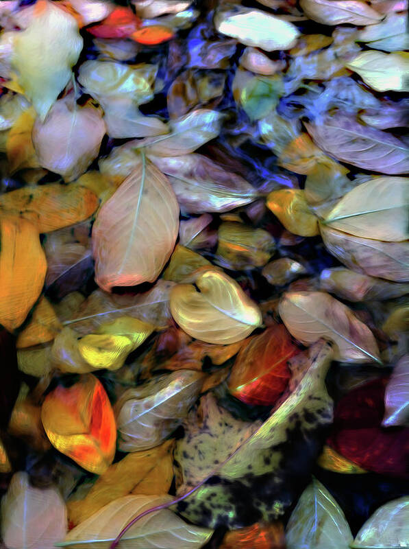 Fallen Leaves Art Print featuring the digital art Fallen Leaves by Don Wright