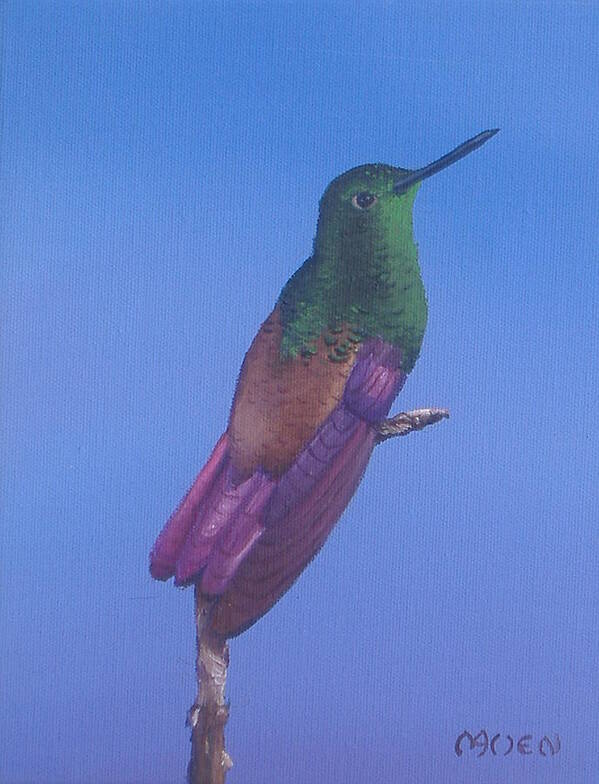 Hummingbirds Art Print featuring the painting Copperbottom by Michael Allen
