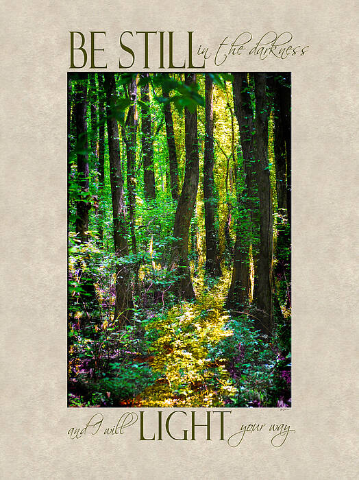 Forest Art Print featuring the photograph In The Forest with Words by Jai Johnson