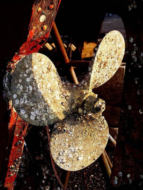 Propeller Art Print featuring the photograph Rustic Propeller by Margie Avellino