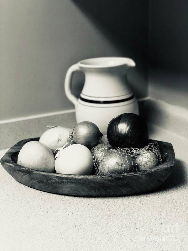 Onions Art Print featuring the photograph Silver tone Still Life with Onions by Karen Francis