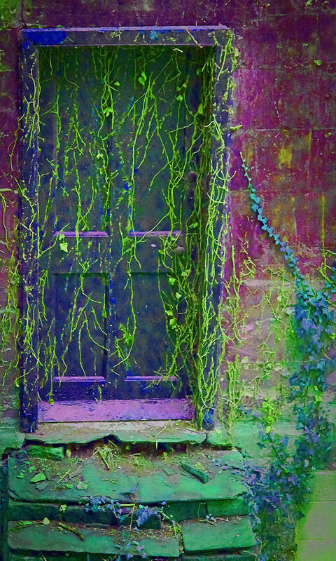 Garden Art Print featuring the digital art Forgotten doorway by Tony Grider