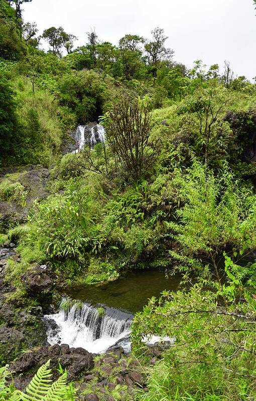 Aloha Art Print featuring the photograph Hanawi Upper-Lower Falls, Hana,Maui by Bnte Creations