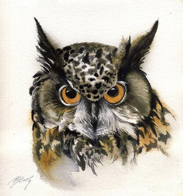 Long Horned Owl Art Print featuring the painting Owl Watercolor #1 by Alfred Ng