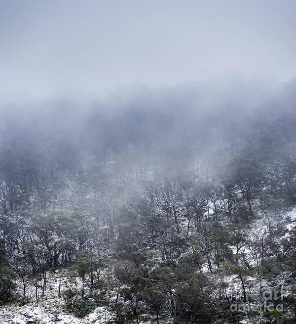 Winter Art Print featuring the photograph Winter Mountains #3 by THP Creative