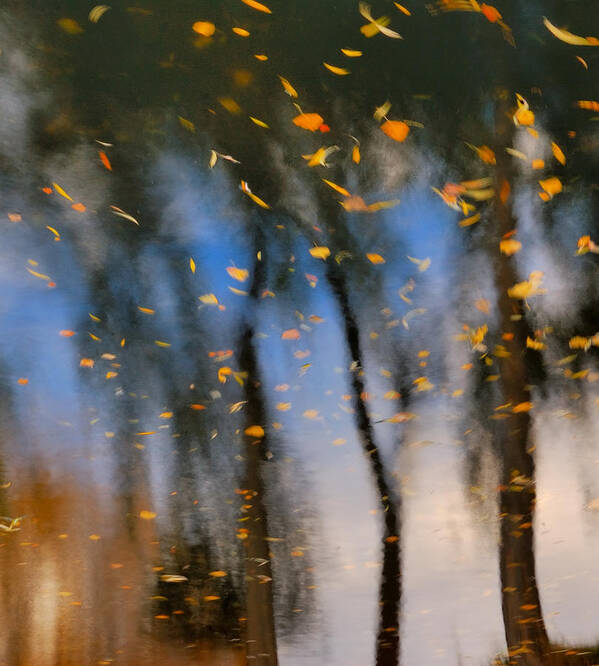 Abstracts Art Print featuring the photograph Autumn Daze - Abstract Reflection by Steven Milner