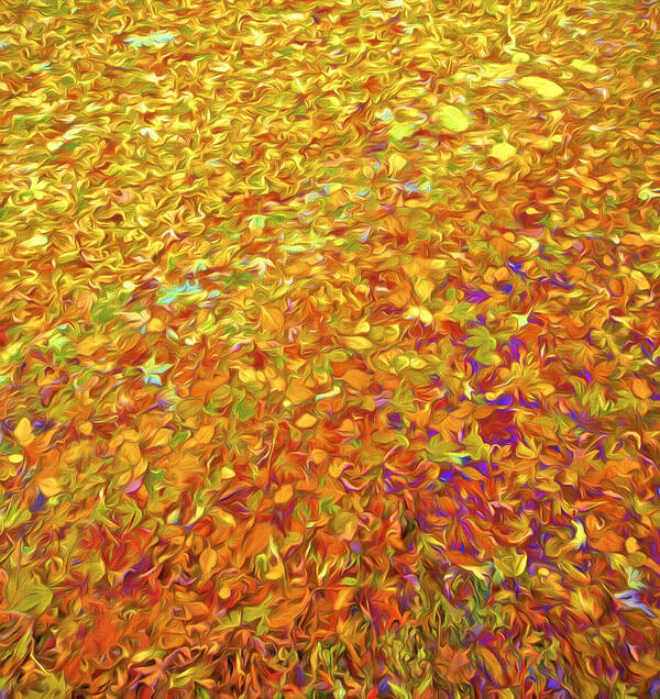 Abstract Art Print featuring the photograph Autumn Leaves by David Letts