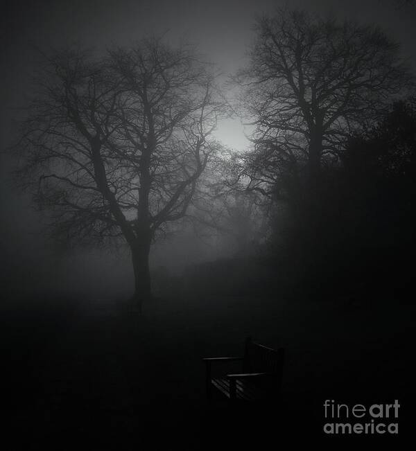 Mist Art Print featuring the photograph Bench In The Mist by Callan Art