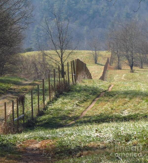 Fence Art Print featuring the photograph Fence View by Anita Adams