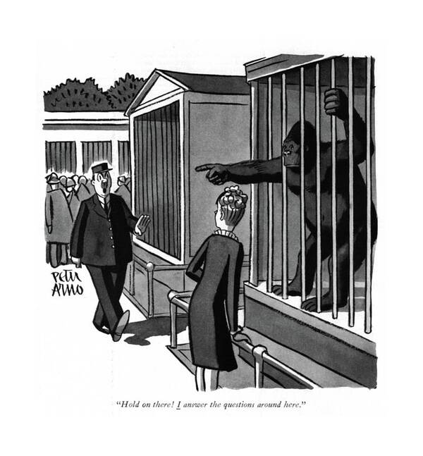 111460 Par Peter Arno Zoo Attendant Reprimands Woman For Asking A Gorilla For Directions. Angry Animal Ape Asking Assume Attendant Authority Directions Disgruntled Enraged Furious Gorilla Irate Irritated Job Mad Monkey Reprimands Undermine Upset Usurp Woman Work Zoo Art Print featuring the drawing Hold On There! I Answer The Questions Around Here by Peter Arno