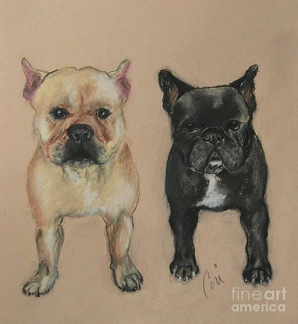 French Bulldog Art Print featuring the pastel Pardon My French by Cori Solomon