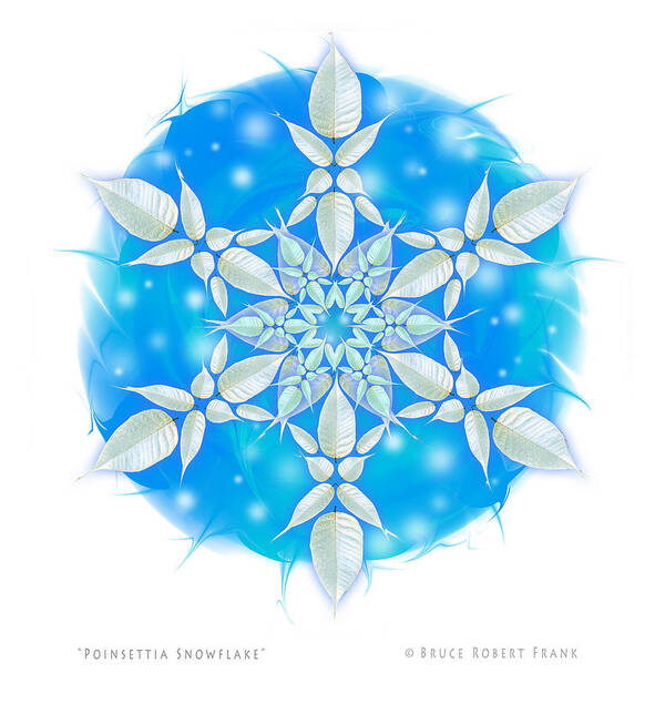 Poinsettia Art Print featuring the photograph Poinsettia Snowflake by Bruce Frank
