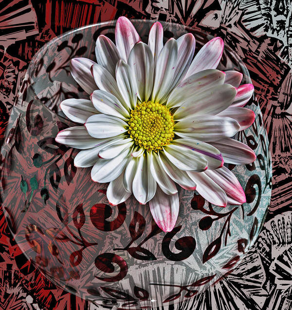 Flower Art Print featuring the photograph Red Floral Funk by Bill and Linda Tiepelman