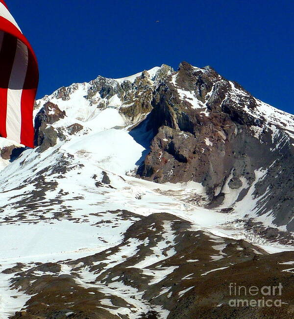 Usa Flag Art Print featuring the photograph Red White And Blue by Susan Garren