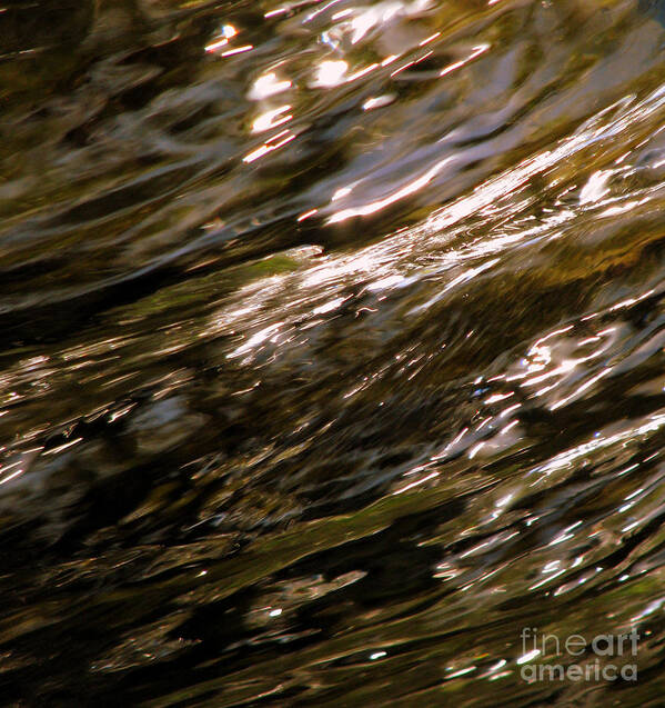 Water Art Print featuring the photograph Reflections by C Ray Roth