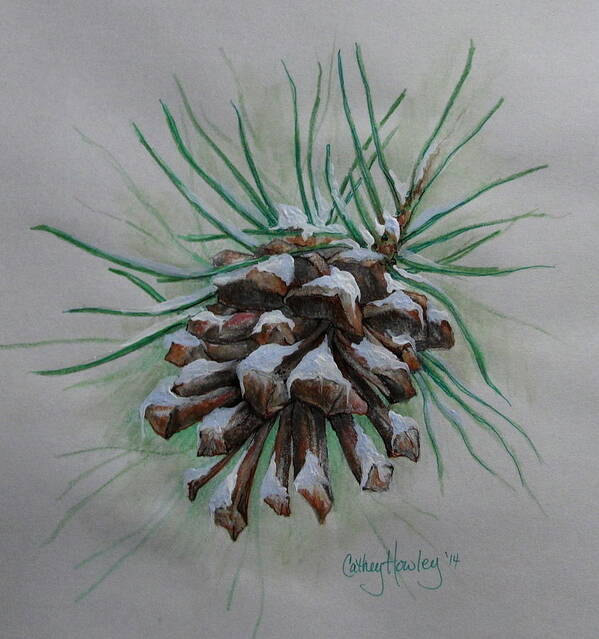 Pine Art Print featuring the painting Snowy Pinecone by Catherine Howley