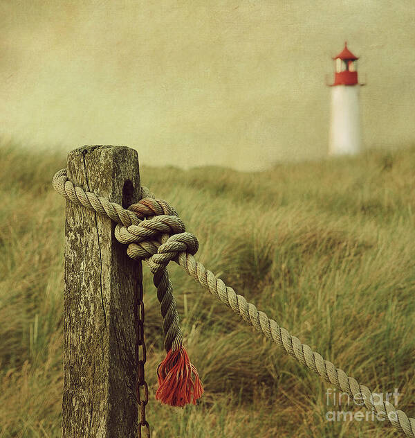 Lighthouse Art Print featuring the photograph To The Lighthouse by Hannes Cmarits