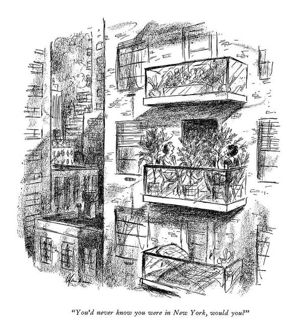 
 Matrons Sits On Tiny Balcony Attached To Modern Apartment Building. 
City Life Urban Life Apartment Life Nyc Ny Modern Life Denial Self-deception Iwd Natural Nature Outdoors Environment Environmental Plants Plant 68077 Adu Alan Dunn Art Print featuring the drawing You'd Never Know You Were In New York by Alan Dunn