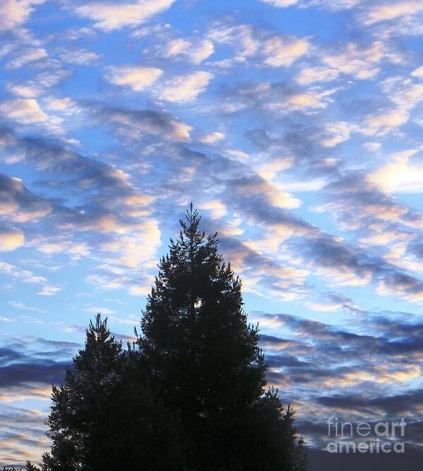 Sky Art Print featuring the photograph Glorious Morning by DJ Laughlin