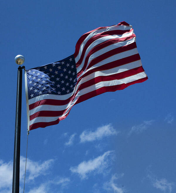 Flag Art Print featuring the photograph The American Flag by Gregory Scott