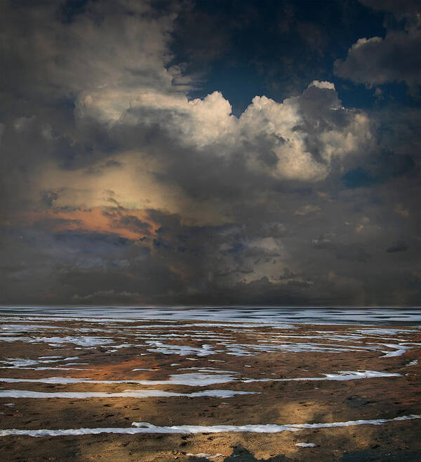 Land Ground Art Print featuring the photograph 4179 by Peter Holme III