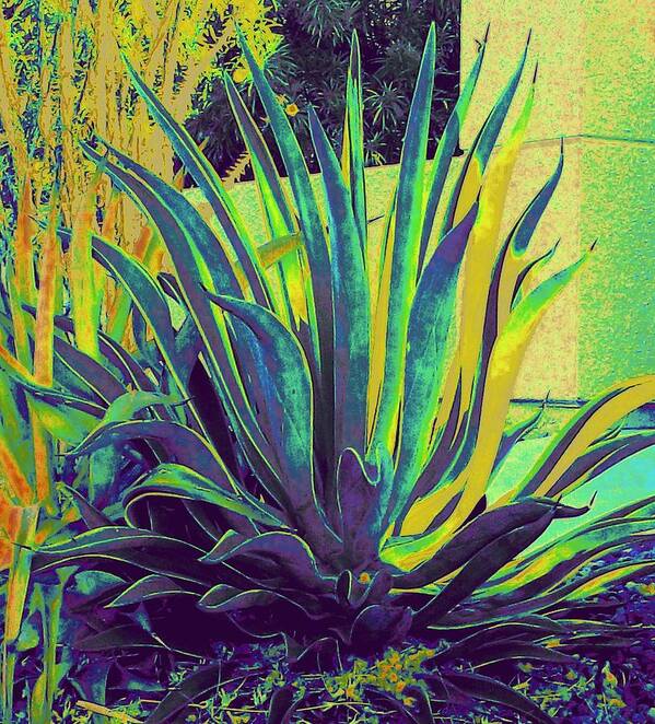 Agave Art Print featuring the photograph Agave Maria by Randall Weidner
