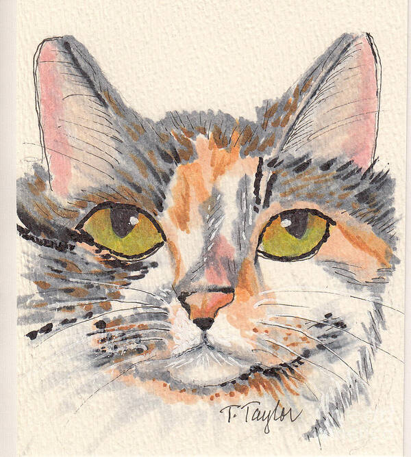 Cat Art Print featuring the drawing Amelia by Terry Taylor