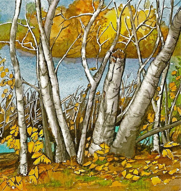 Landscape Art Print featuring the painting Broken Birch by Lynn Babineau