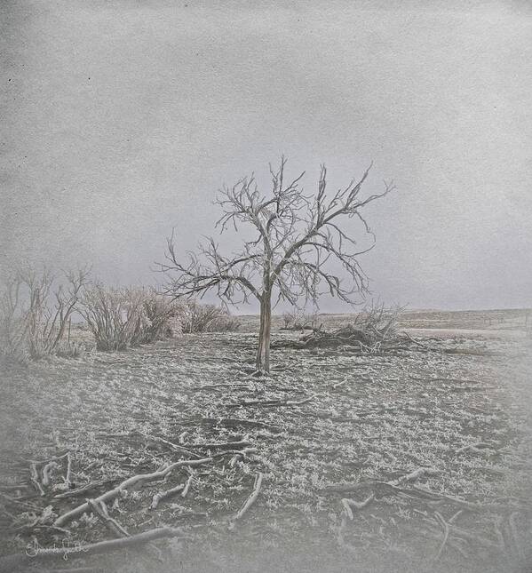 Tree Art Print featuring the mixed media Frosted by Amanda Smith