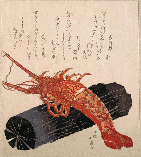 Totoya Hokkei Art Print featuring the drawing Lobster on a Piece of Charcoal by Totoya Hokkei