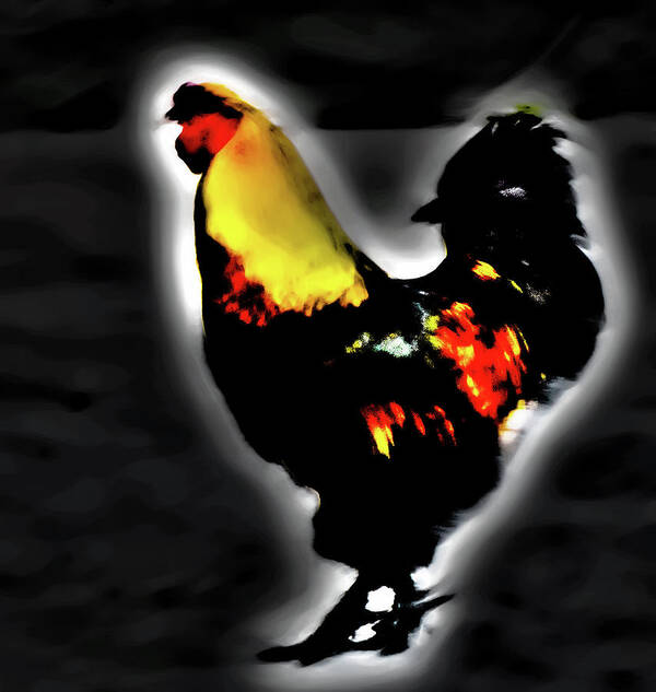 Rooster Art Print featuring the photograph Portrait of a Rooster by Gina O'Brien