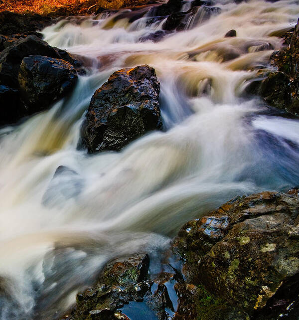 Troy Art Print featuring the photograph River Dance by Neil Shapiro