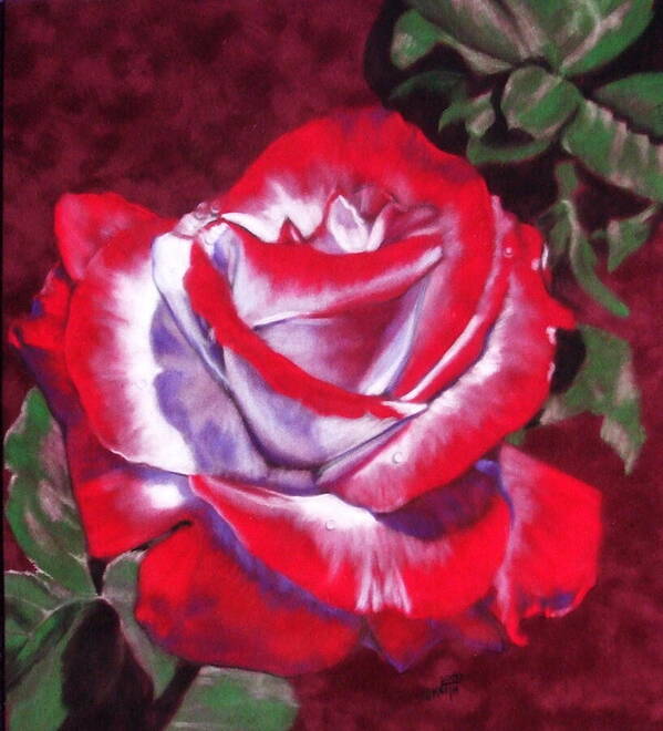 Rose Art Print featuring the pastel Ruby by Barbara Keith