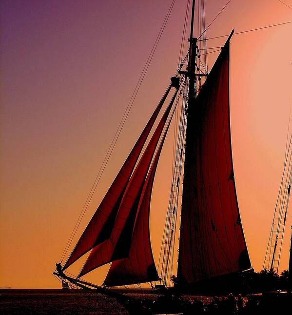 Sailing Art Print featuring the photograph Sail at Sunset by Susanne Van Hulst