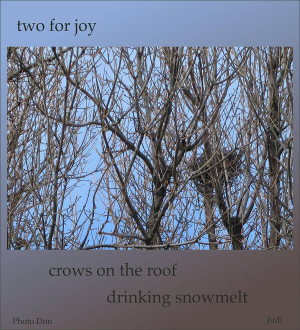 Poetry Art Print featuring the digital art Two for Joy Spring Haiga by Judi and Don Hall