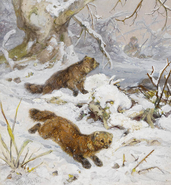 Winter Art Print featuring the painting Wolverines in the Snow by August Specht