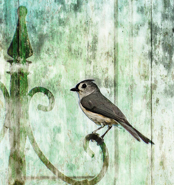 Bird Art Print featuring the photograph Zoe's Tufted Titmouse by Cynthia Wolfe