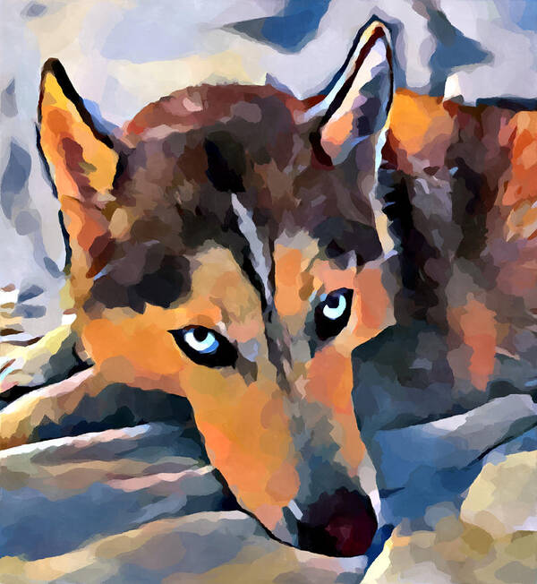 Husky Art Print featuring the painting Husky 5 by Chris Butler