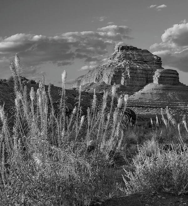 Disk1216 Art Print featuring the photograph Miner's Candle, Echo Canyon by Tim Fitzharris