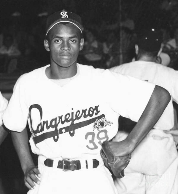 1950-1959 Art Print featuring the photograph Roberto Clemente #1 by National Baseball Hall Of Fame Library