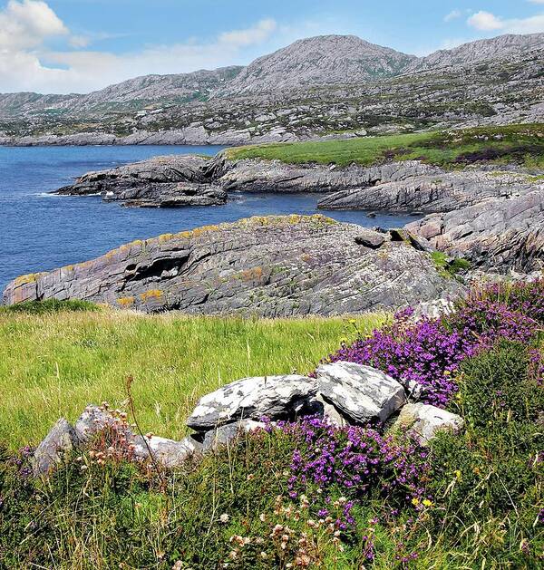 Ring Of Kerry Art Print featuring the photograph A Quiet Place by Randall Dill